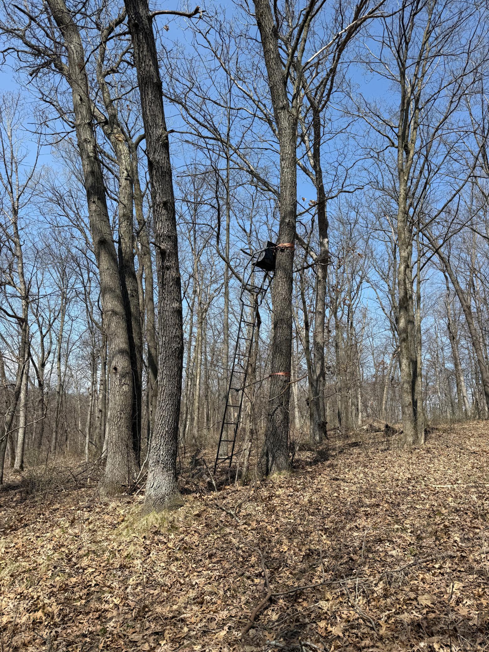 14230 Hillside Road Brownsville, MN 55919 - Photo 48 of 58