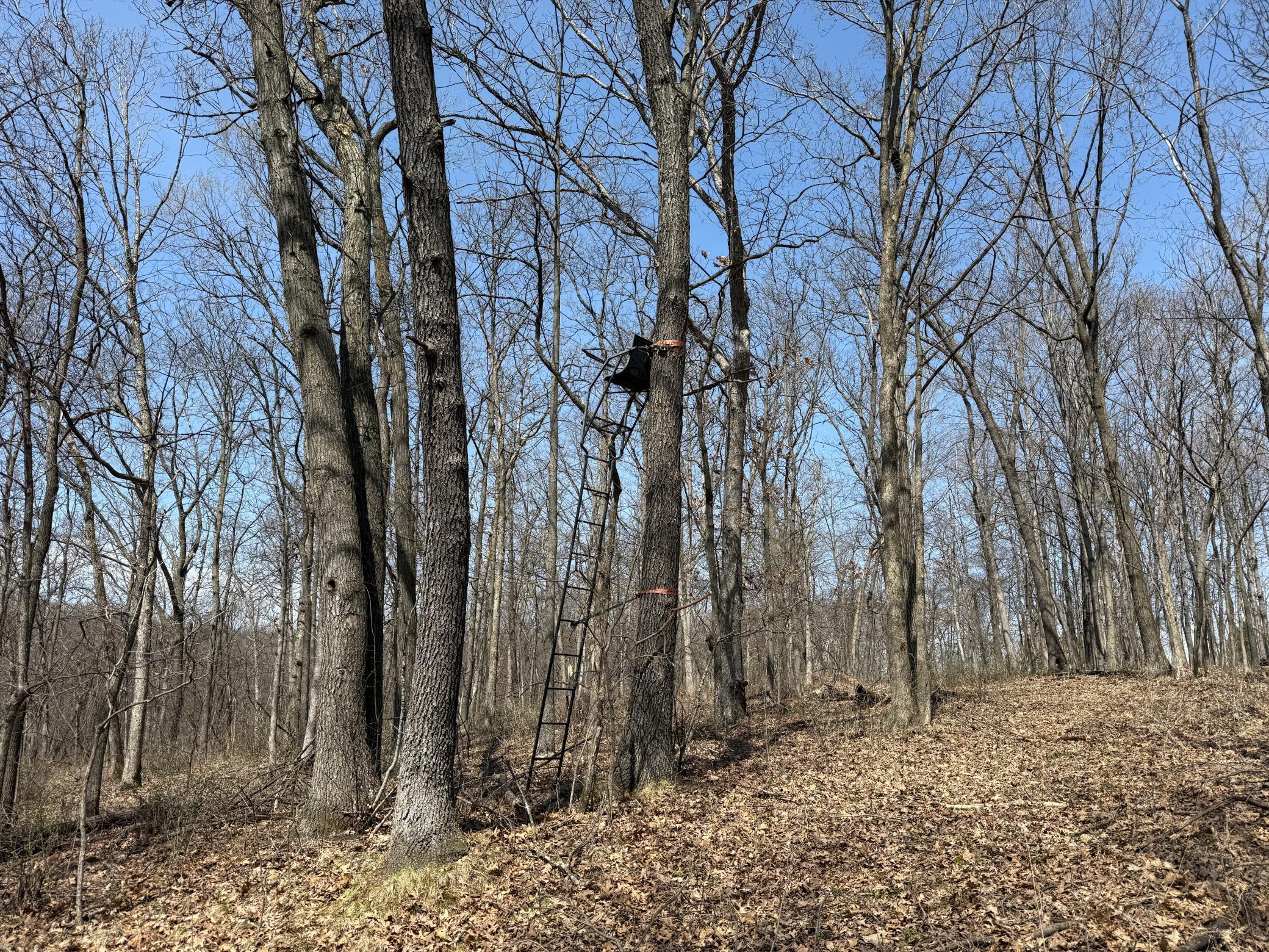 14230 Hillside Road Brownsville, MN 55919 - Photo 49 of 58