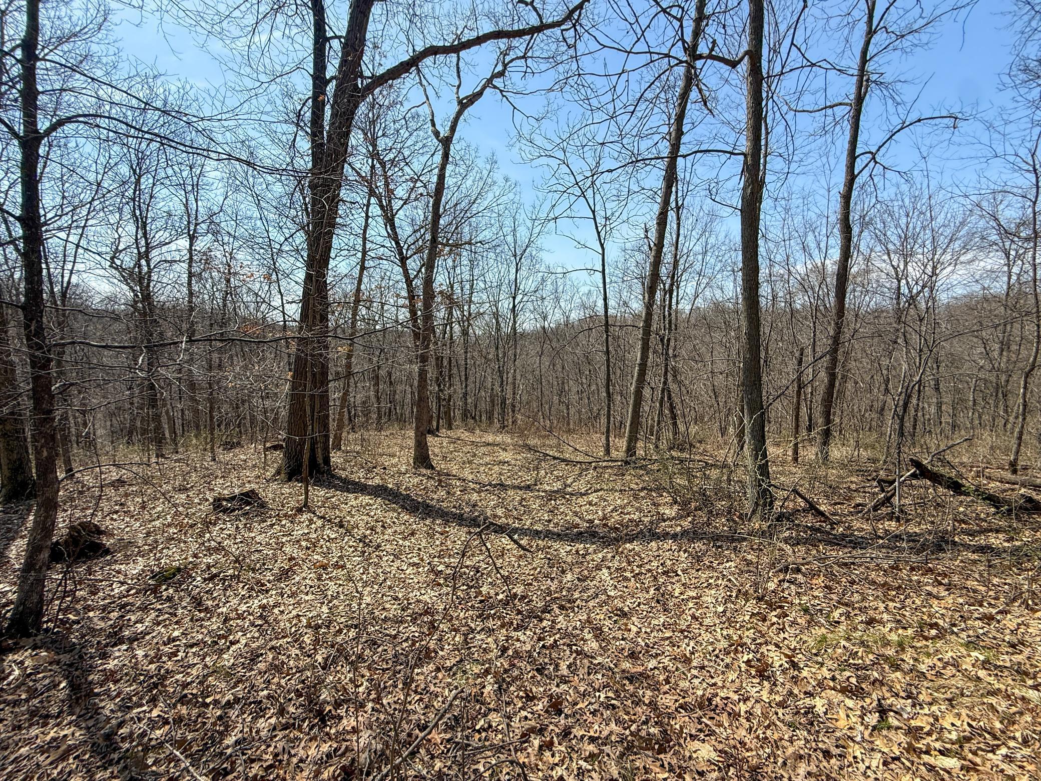 14230 Hillside Road Brownsville, MN 55919 - Photo 50 of 58