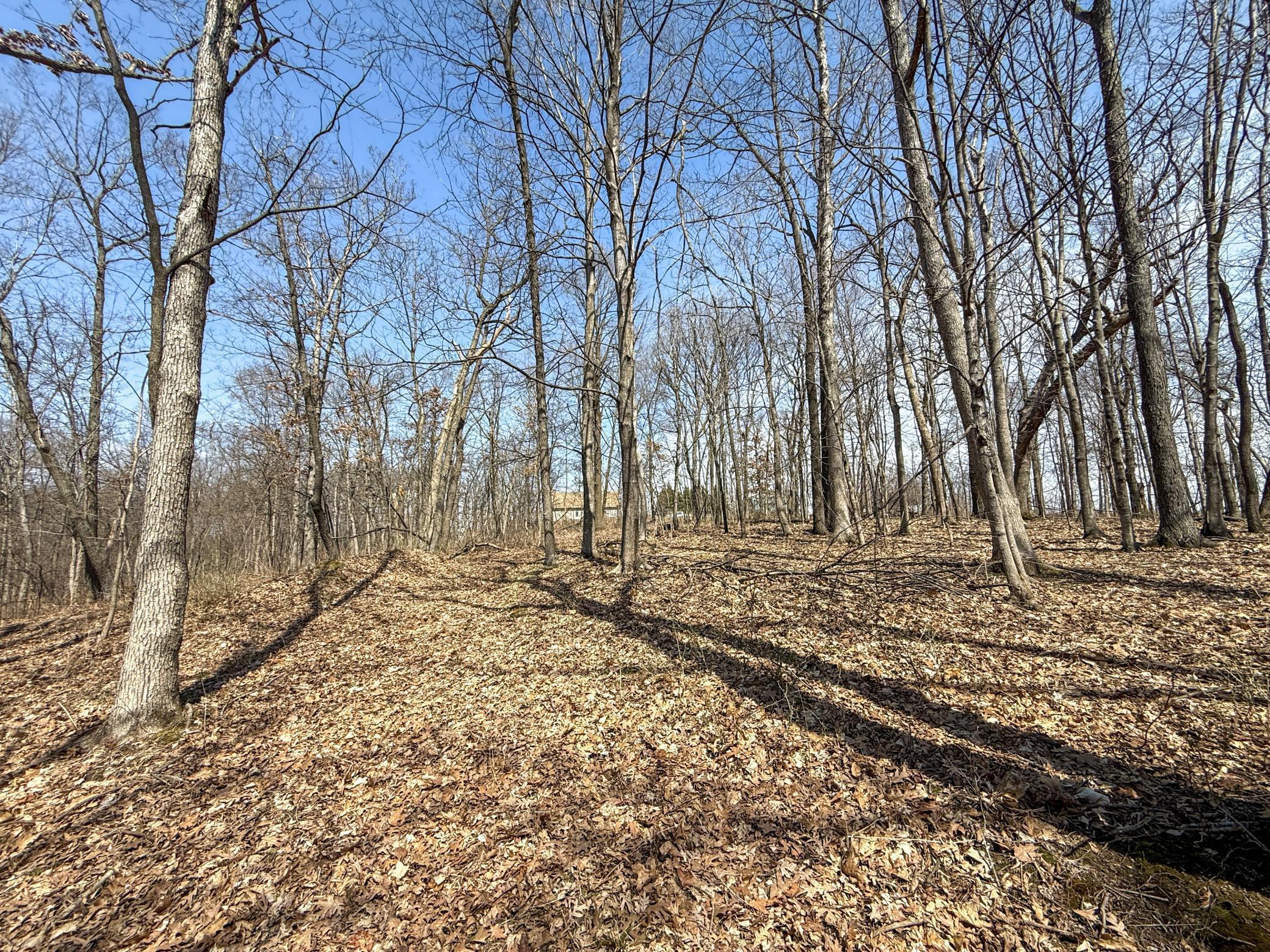 14230 Hillside Road Brownsville, MN 55919 - Photo 51 of 58