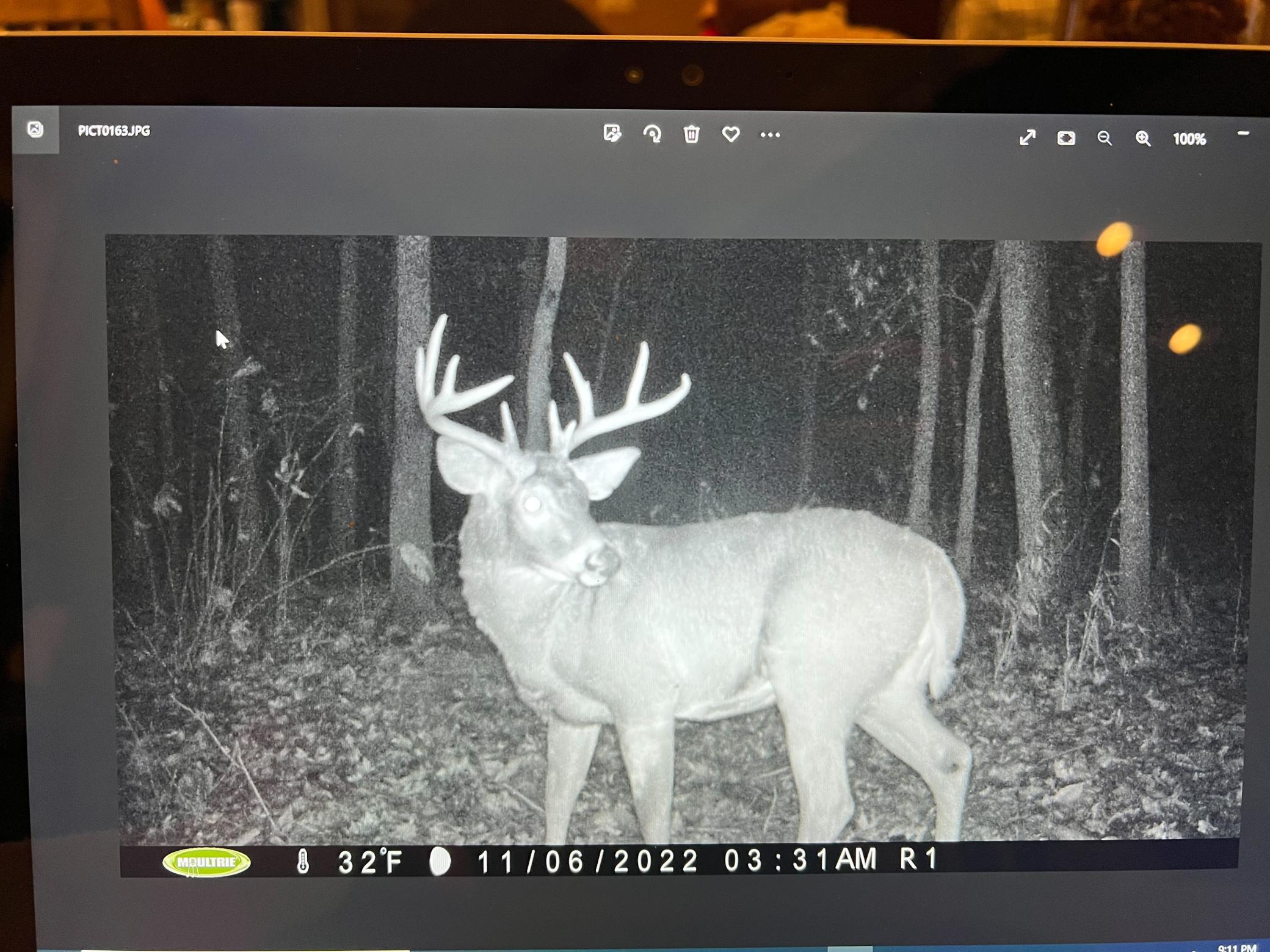 14230 Hillside Road Brownsville, MN 55919 - Photo 55 of 58