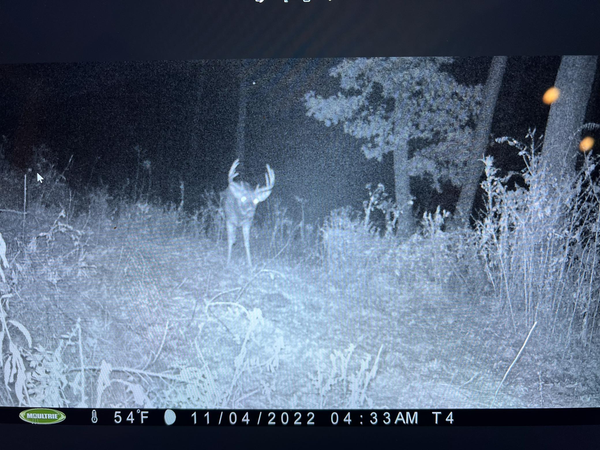 14230 Hillside Road Brownsville, MN 55919 - Photo 56 of 58