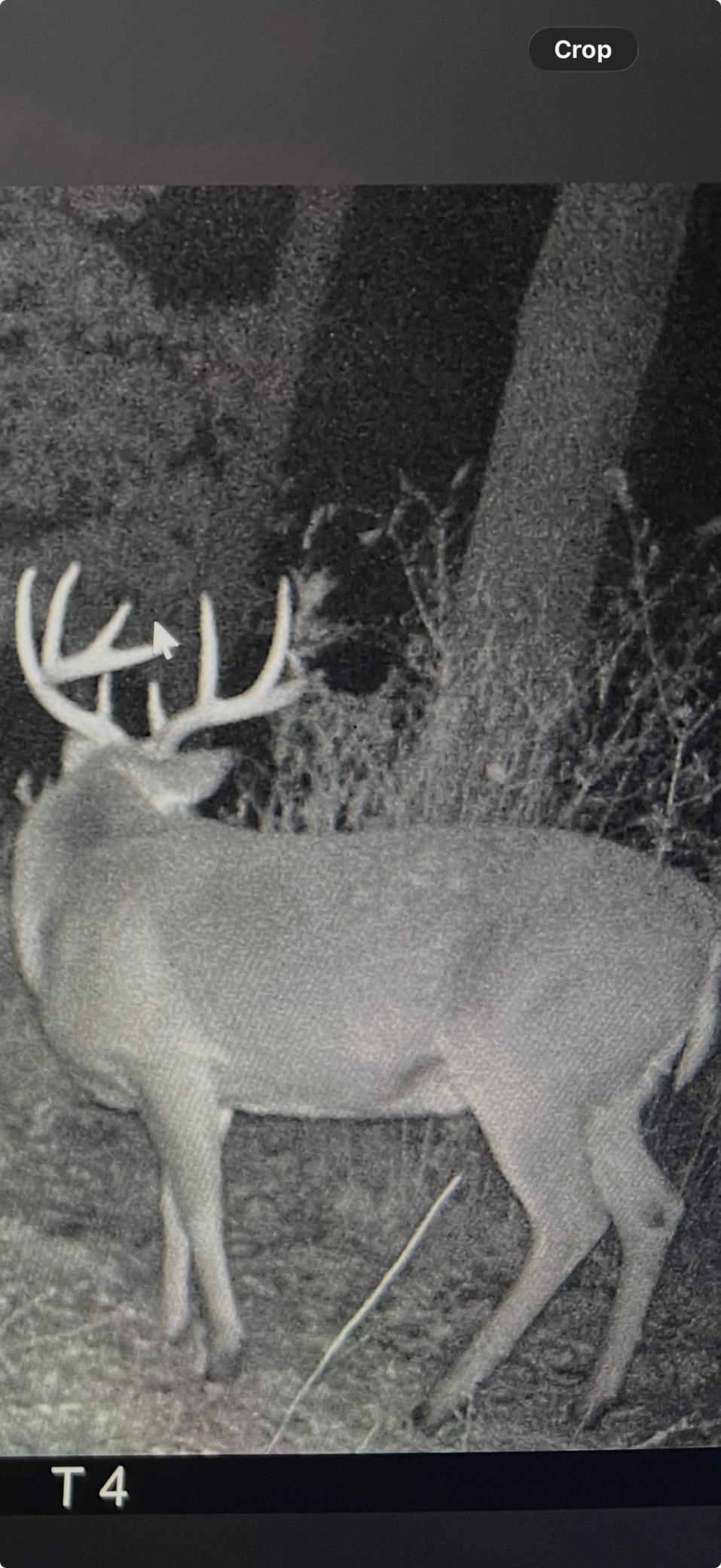 14230 Hillside Road Brownsville, MN 55919 - Photo 57 of 58