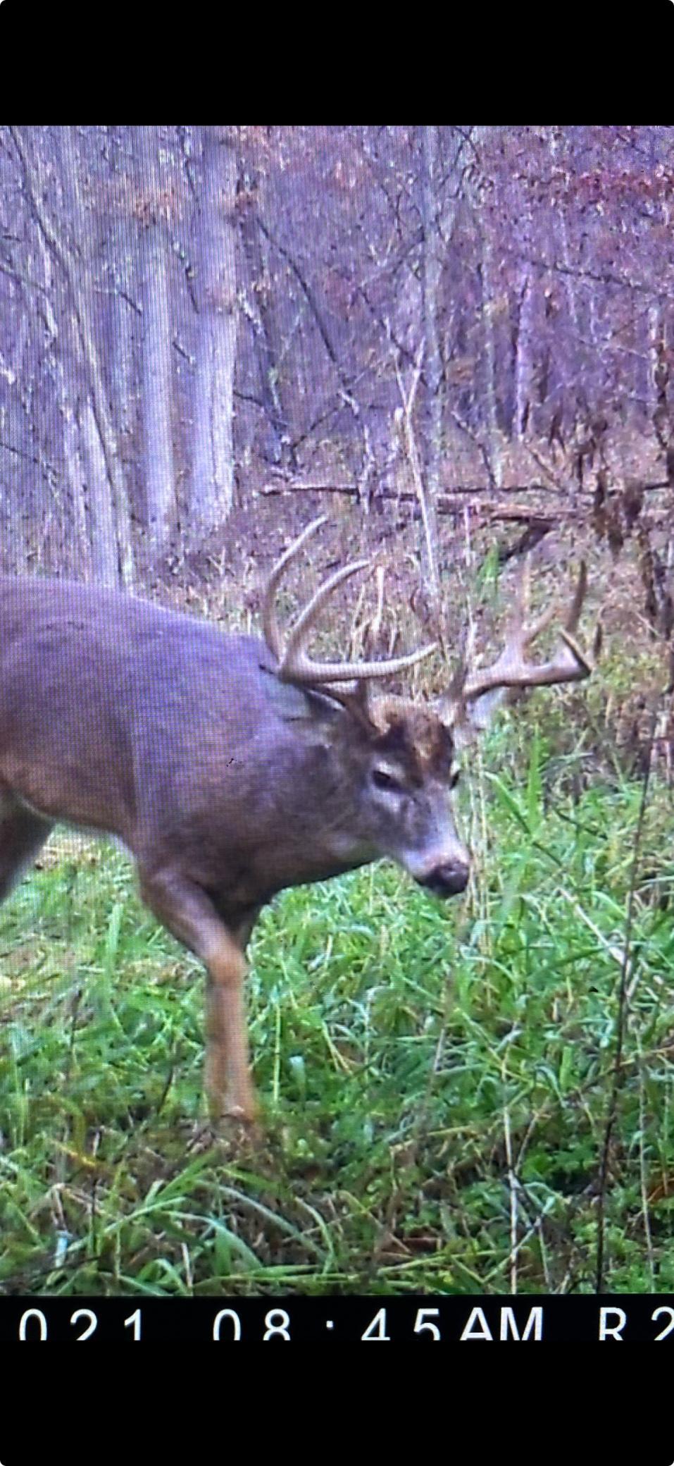 14230 Hillside Road Brownsville, MN 55919 - Photo 58 of 58