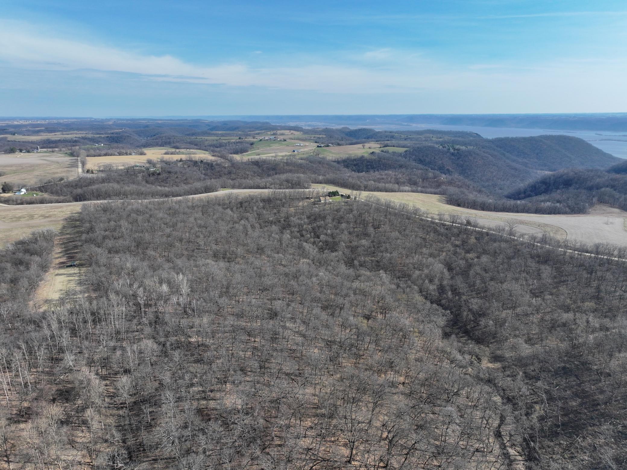 14230 Hillside Road Brownsville, MN 55919 - Photo 6 of 58