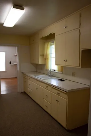 a bathroom with a shower and a toilet