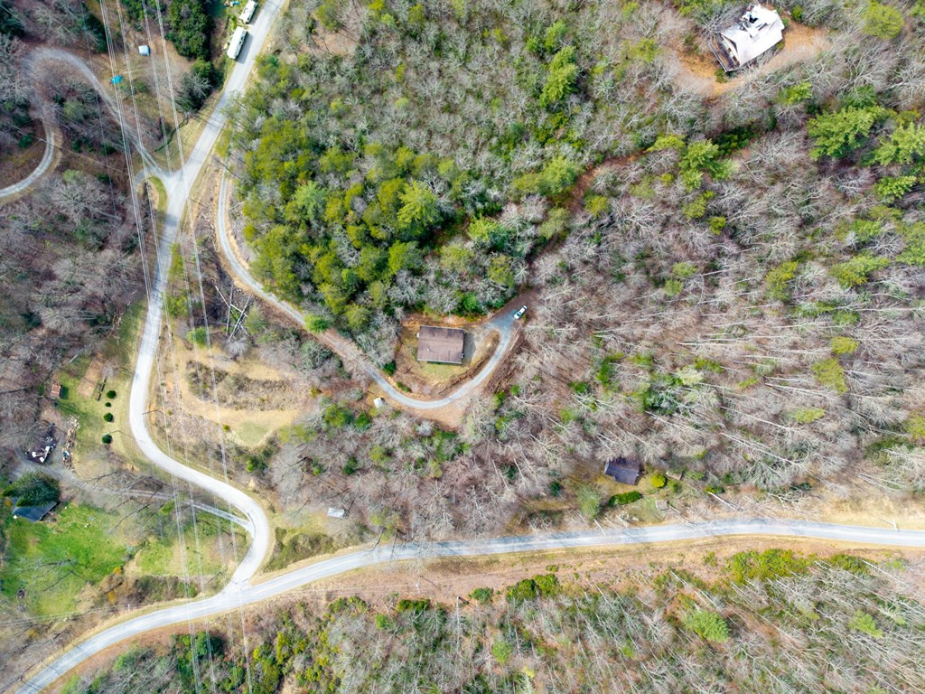145 Raymond Wilson Road Topton, NC 28781 - Photo 3 of 31
