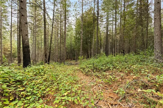 a view of backyard with green space