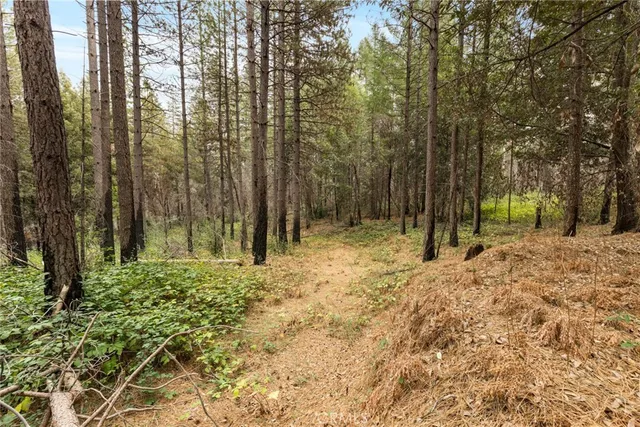 a view of outdoor space with trees