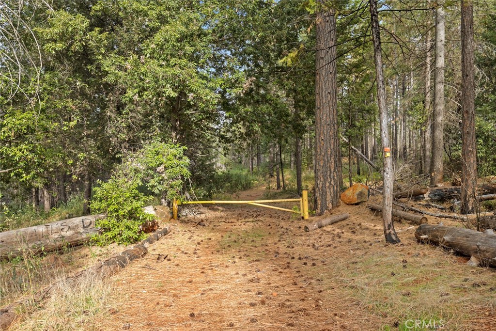 0 Old Forbestown Road Forbestown, CA 95941 - Photo 3 of 16 a backyard of a house with lots of green space