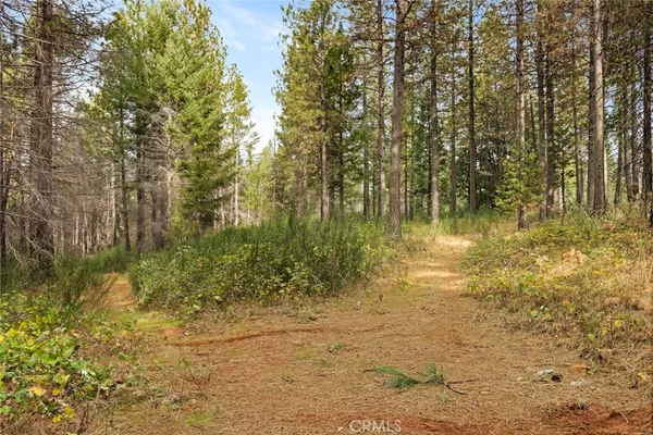 a view of lake with green space