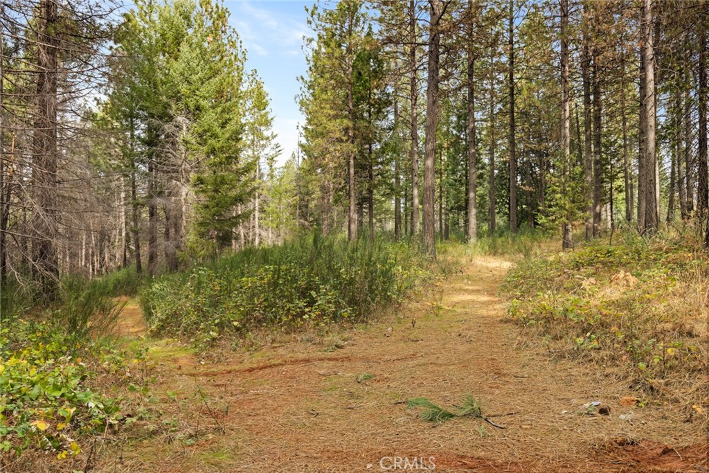 0 Old Forbestown Road Forbestown, CA 95941 - Photo 4 of 16 a view of lake with green space