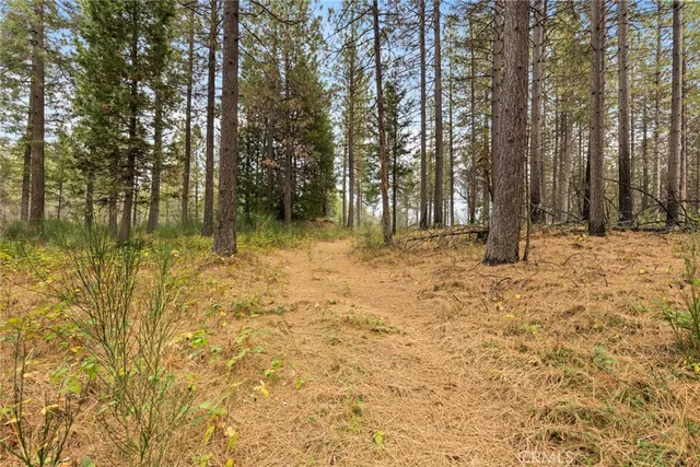a backyard of a house with large trees