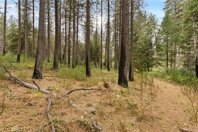 a view of backyard with green space