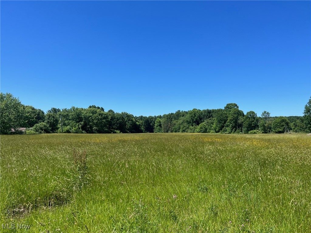Tallmadge Road Rootstown, OH 44272 - Photo 3 of 3 View of local wilderness with a rural view