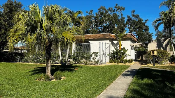a view of a house with backyard and a tree