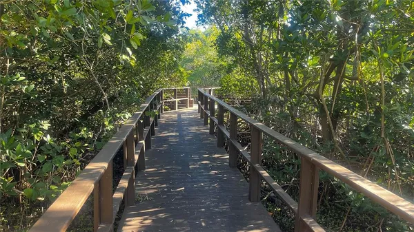 a view of a wooden bridge