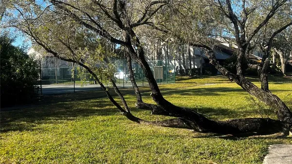 a view of swimming pool with a bench and trees