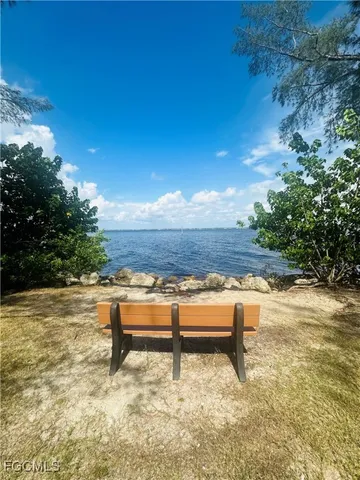 a view of a yard with a tree