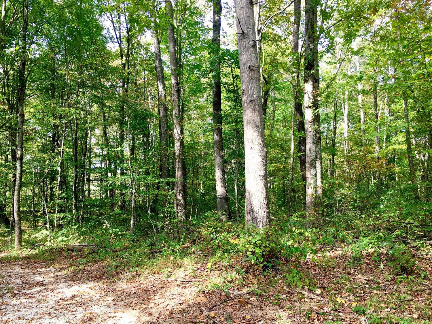 22 Keavy Road London, KY 40744 - Photo 20 of 21 Photo 20