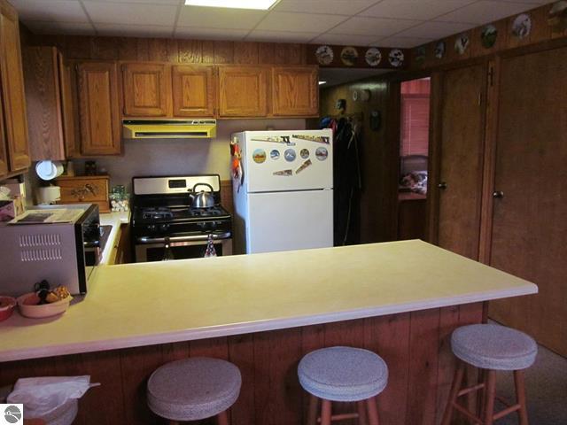 1191 West 10 1/2 Mile Road Irons, MI 49644 - Photo 3 of 22 3
