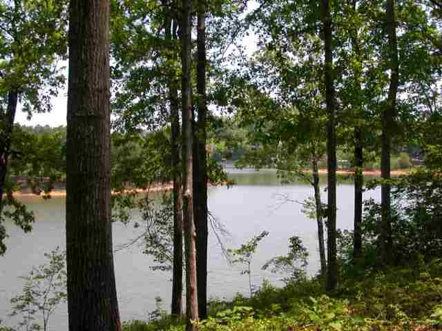 Lot 5 Suttles Road Martin, GA 30557 - Photo 1 of 5 Gallery Image 1