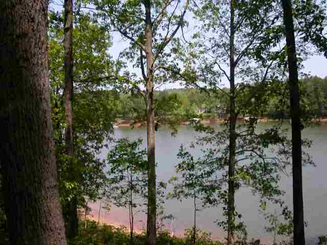 Lot 5 Suttles Road Martin, GA 30557 - Photo 4 of 5 Gallery Image 4