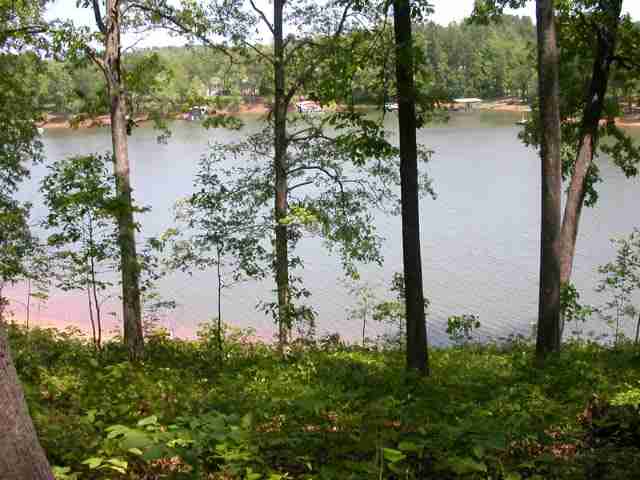 Lot 5 Suttles Road Martin, GA 30557 - Photo 5 of 5 Gallery Image 5