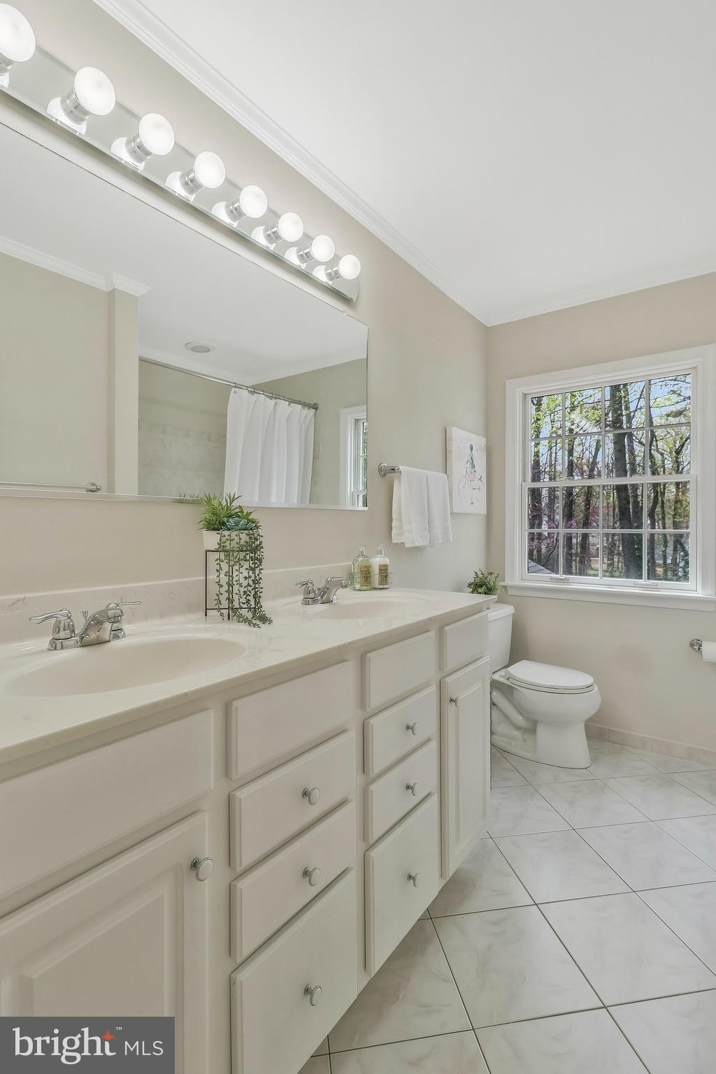 6132 Roxbury Avenue Springfield, VA 22152 - Photo 36 of 70 So bright and light.
