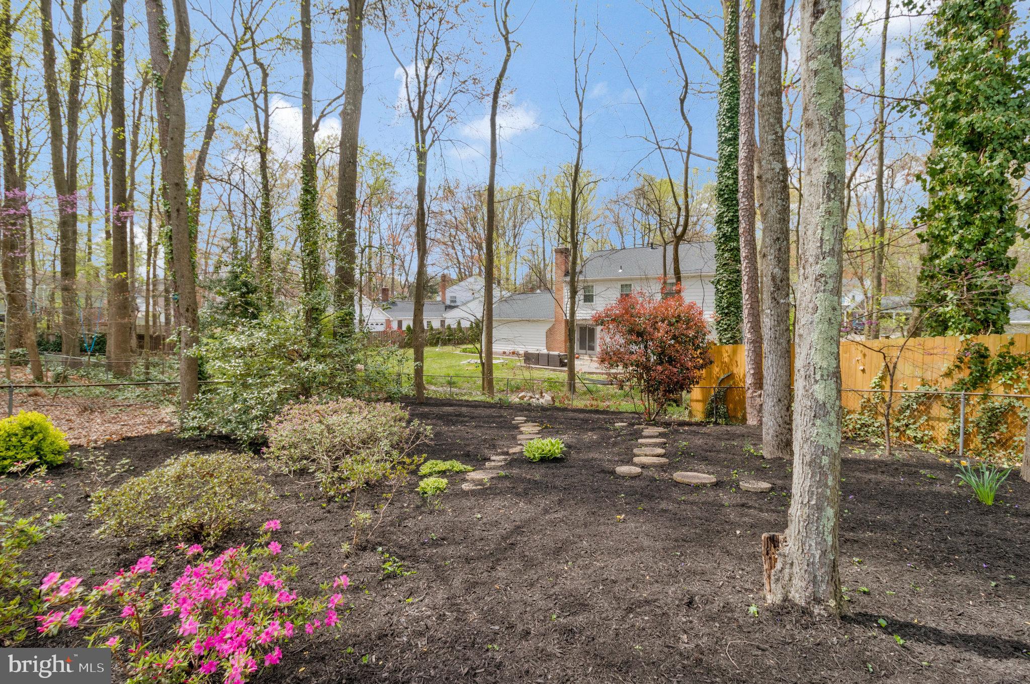6132 Roxbury Avenue Springfield, VA 22152 - Photo 64 of 70 Azaleas are beginning to bloom .. stunning.