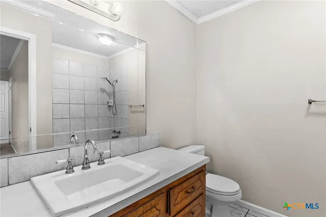 a bathroom with a sink toilet and vanity