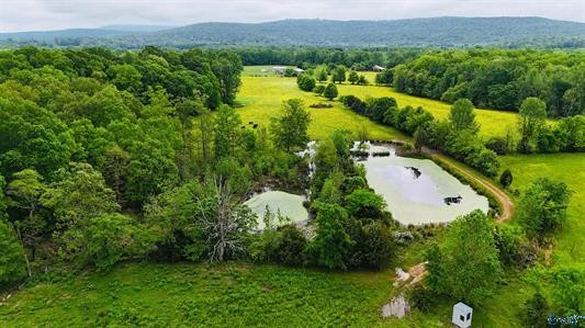 0 Echols Road Elora, TN 37328 - Photo 4 of 11 an aerial view of residential house with outdoor space and trees all around