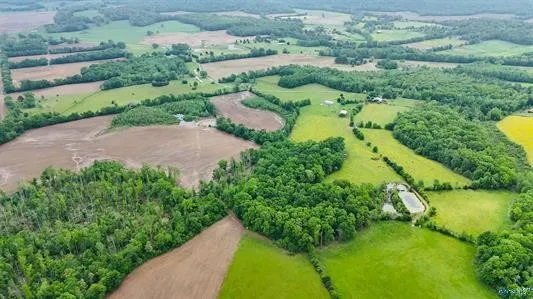 an aerial view of green landscape with trees houses and lake view