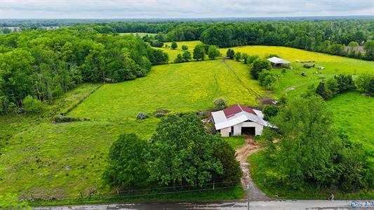 0 Echols Road Elora, TN 37328 - Photo 8 of 11 an aerial view of a house with yard