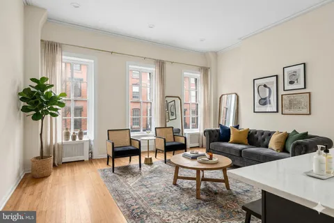a living room with furniture potted plant and a window