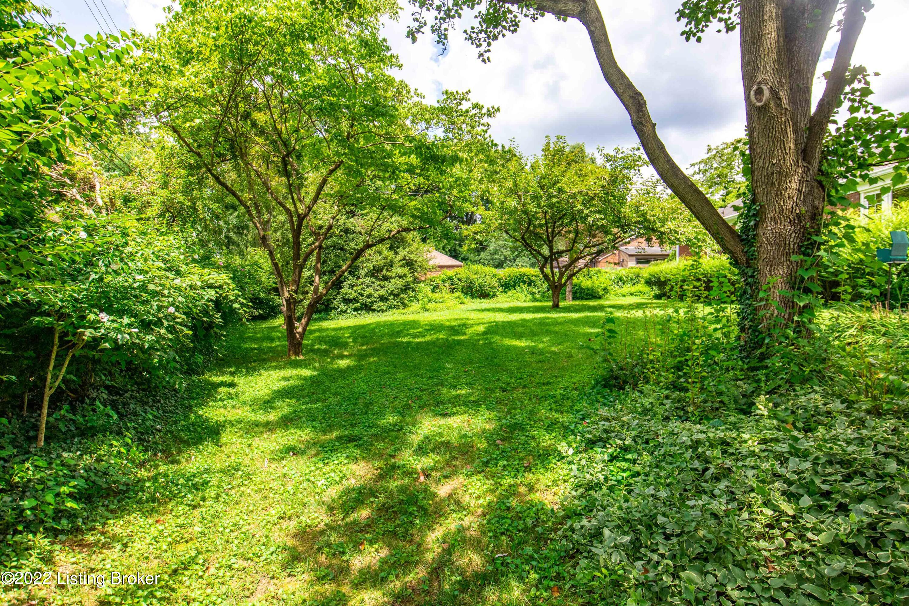 700 Merrifield Road Louisville, KY 40207 - Photo 58 of 61 0.47 Acre Lot