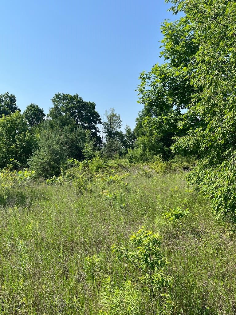 Orchards Trail Egg Harbor, WI 54209 - Photo 2 of 9