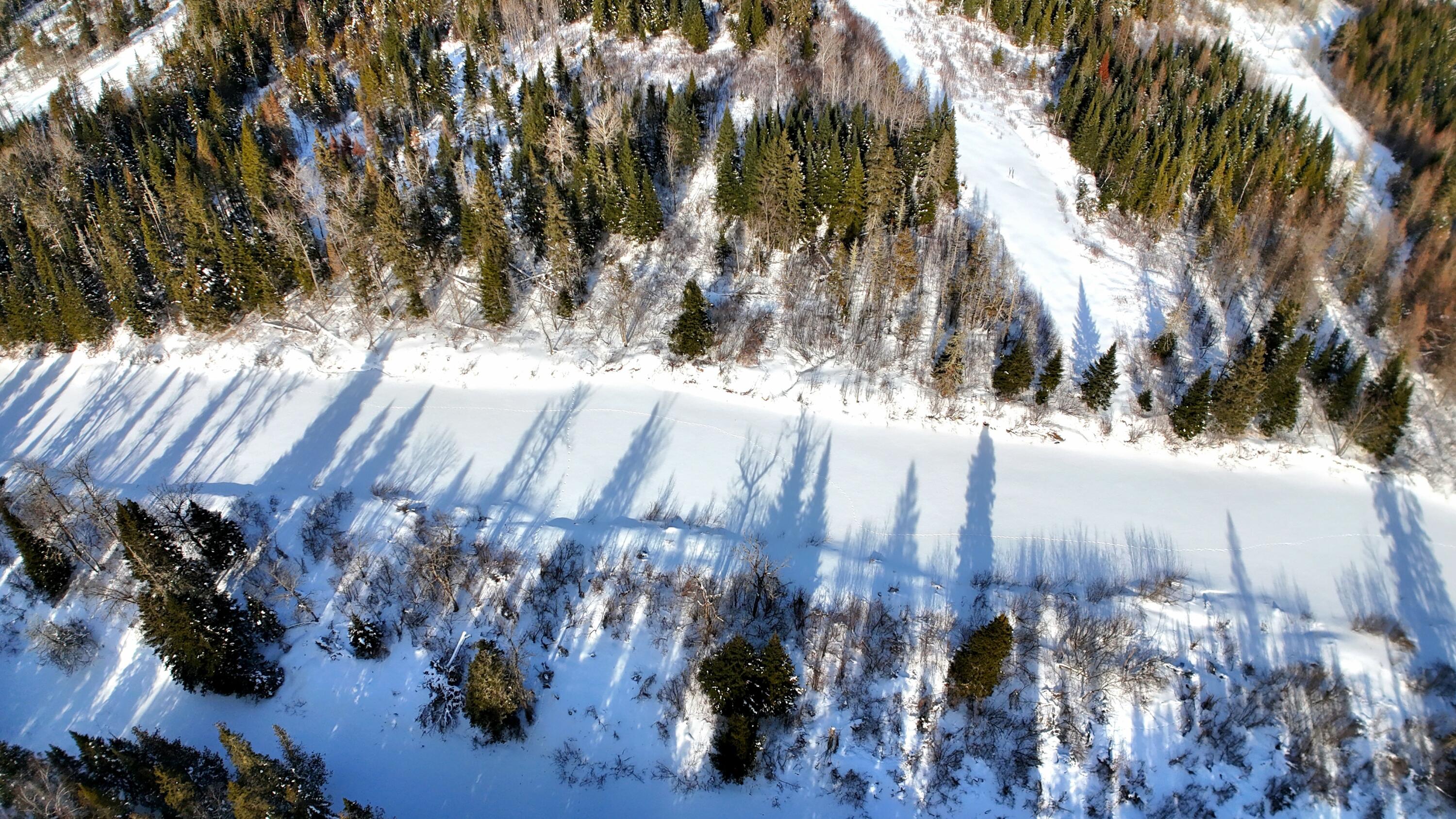 dji_fly_20260201_135146_0219_17699842475