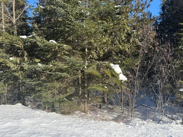 $69,900 | 87.5-87.6 Dubay Pit Road, Caribou, ME 04736