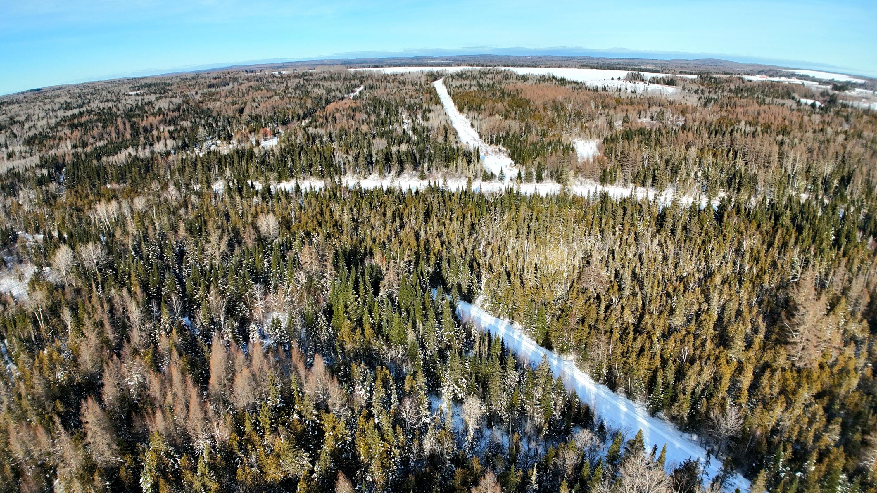 87.5-87.6 Dubay Pit Road Caribou, ME 04736 - Photo 3 of 14 dji_fly_20260201_135044_0216_17699842708