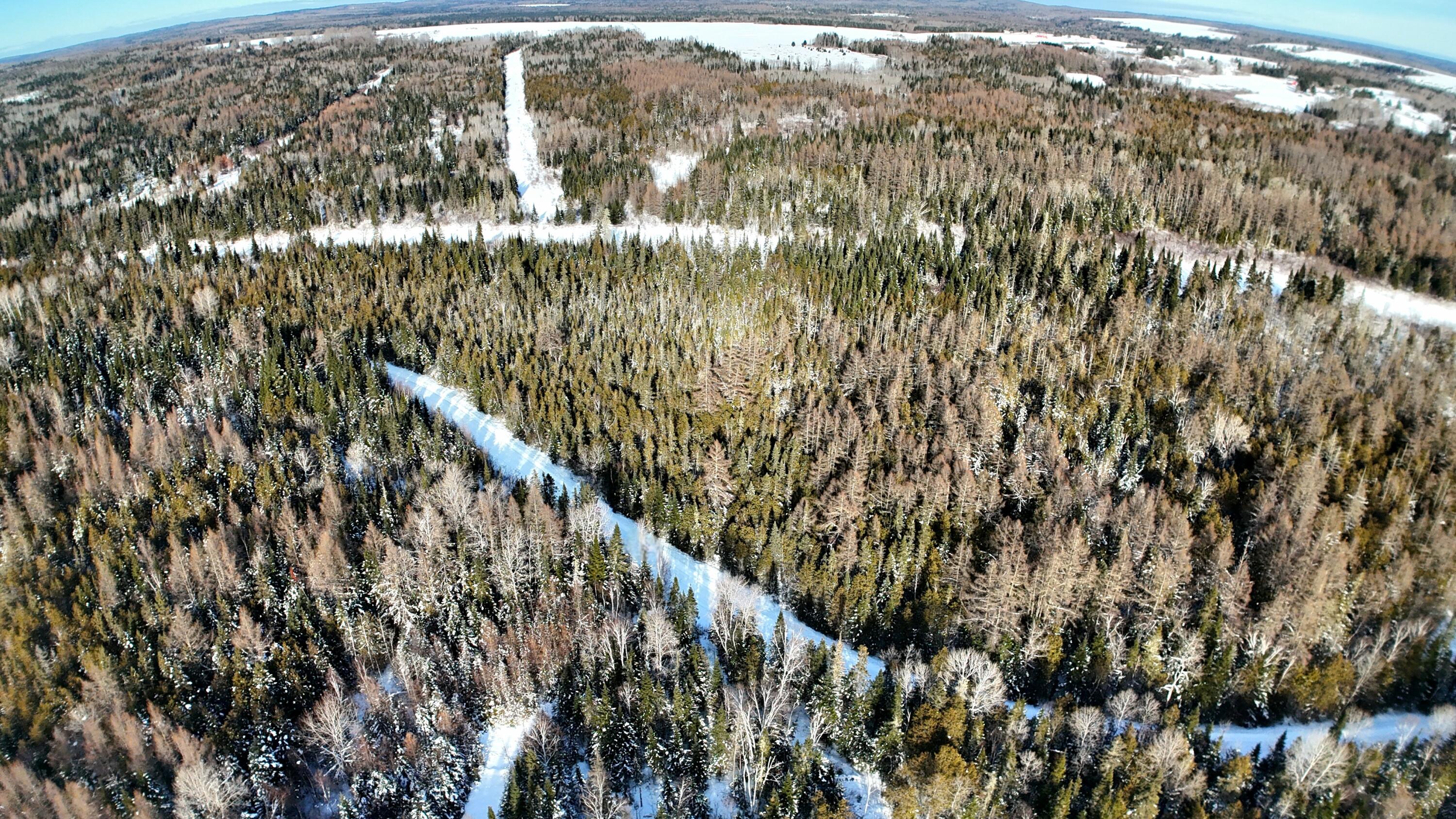 87.5-87.6 Dubay Pit Road Caribou, ME 04736 - Photo 4 of 14 dji_fly_20260201_134310_0200_17699844137