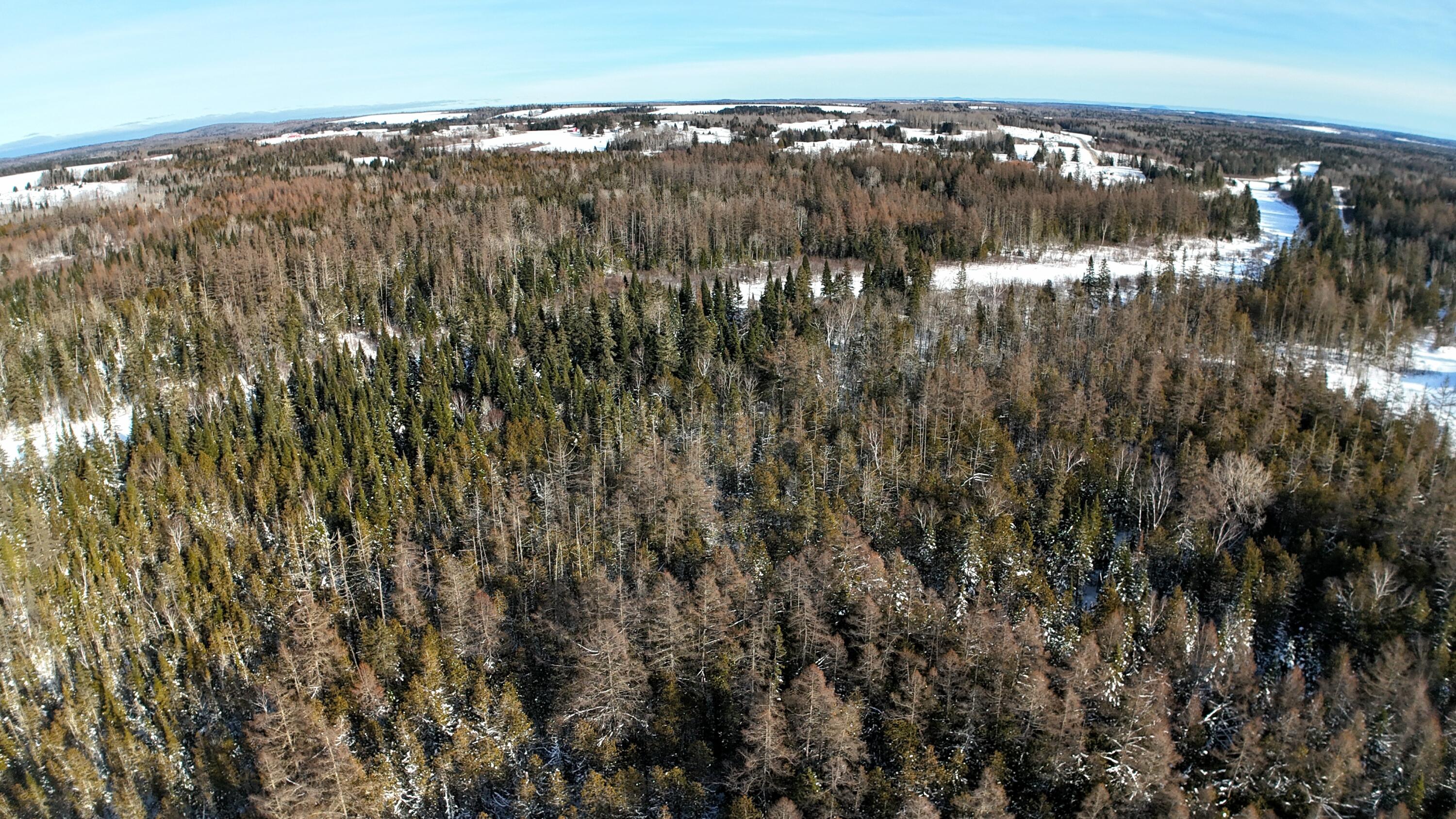 87.5-87.6 Dubay Pit Road Caribou, ME 04736 - Photo 7 of 14 dji_fly_20260201_134212_0194_17699844158