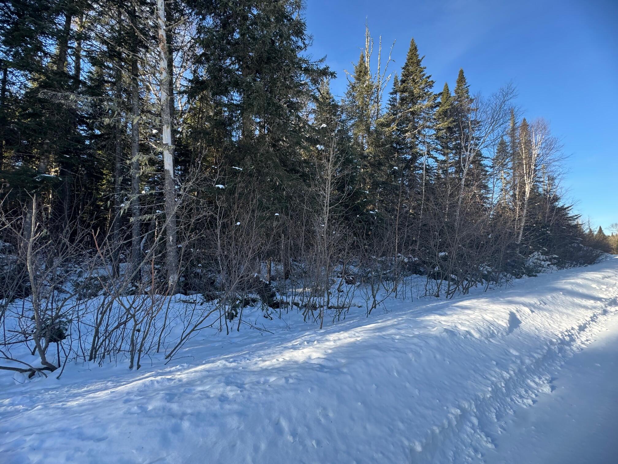 87.5-87.6 Dubay Pit Road Caribou, ME 04736 - Photo 9 of 14 IMG_0002
