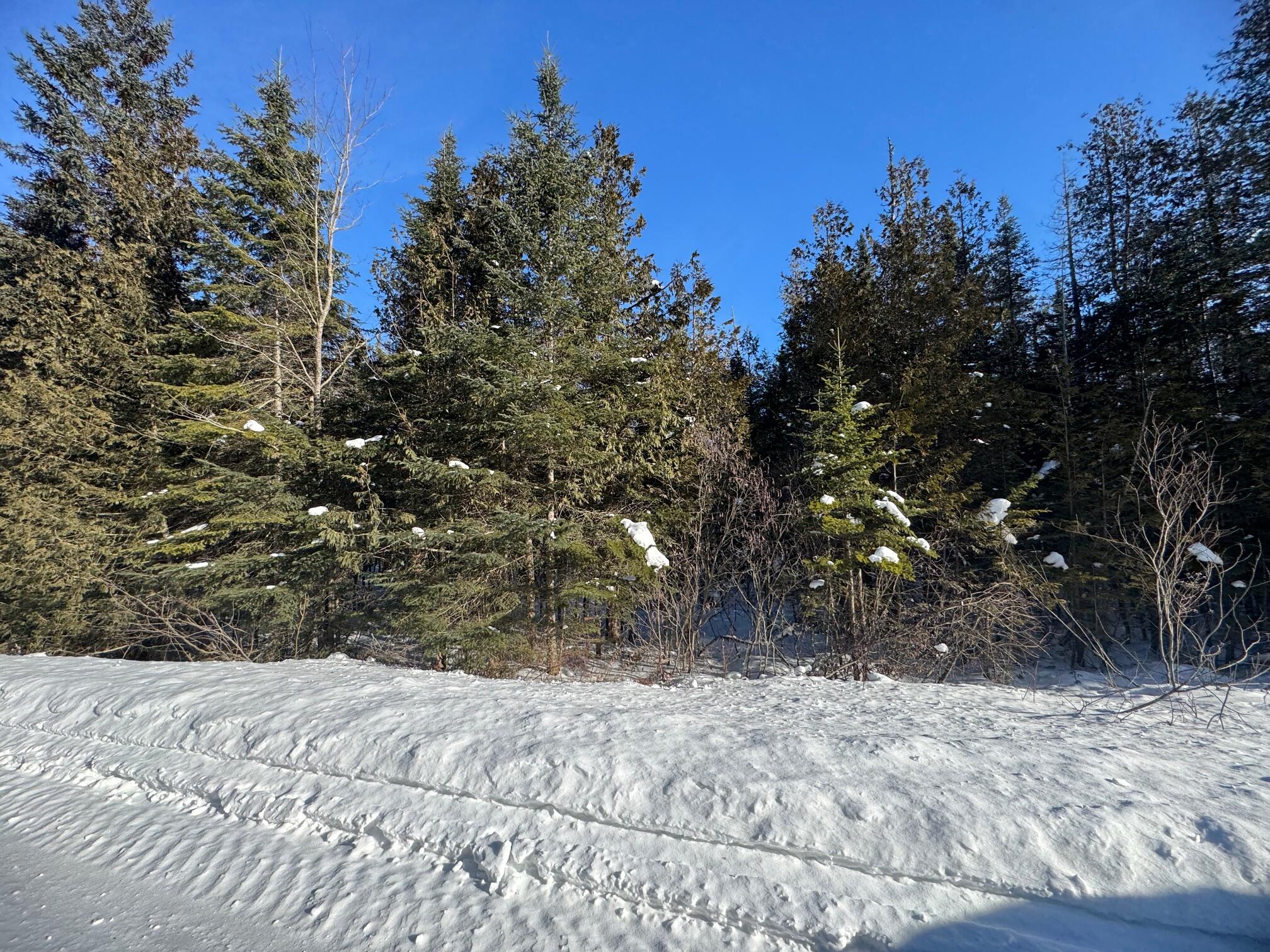 87.5-87.6 Dubay Pit Road Caribou, ME 04736 - Photo 10 of 14 IMG_0003