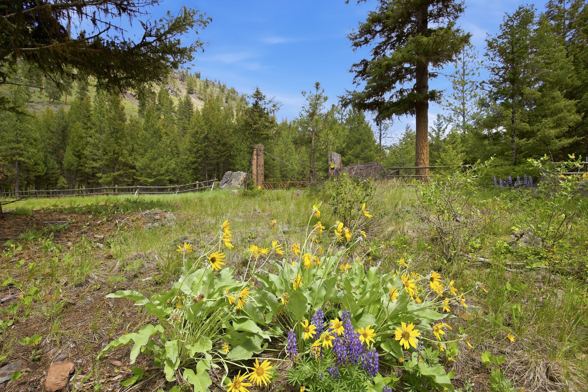 3 Big Waters Ranch Road Seeley Lake, MT 59868 - Photo 20 of 49 Gallery Image 20