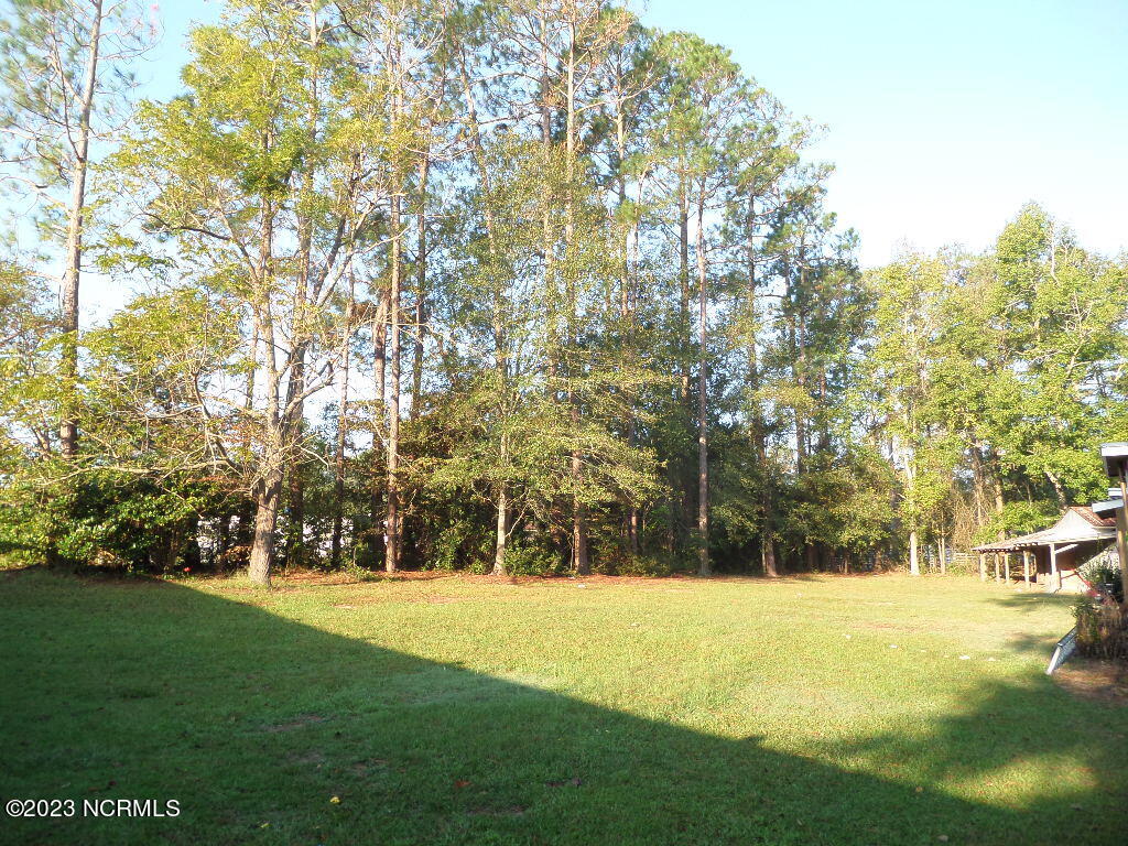 4825 River Road Vanceboro, NC 28586 - Photo 15 of 22 Back Property