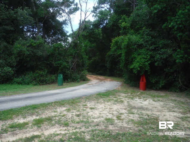 9175 County Road 99 Lillian, AL 36549 - Photo 46 of 50