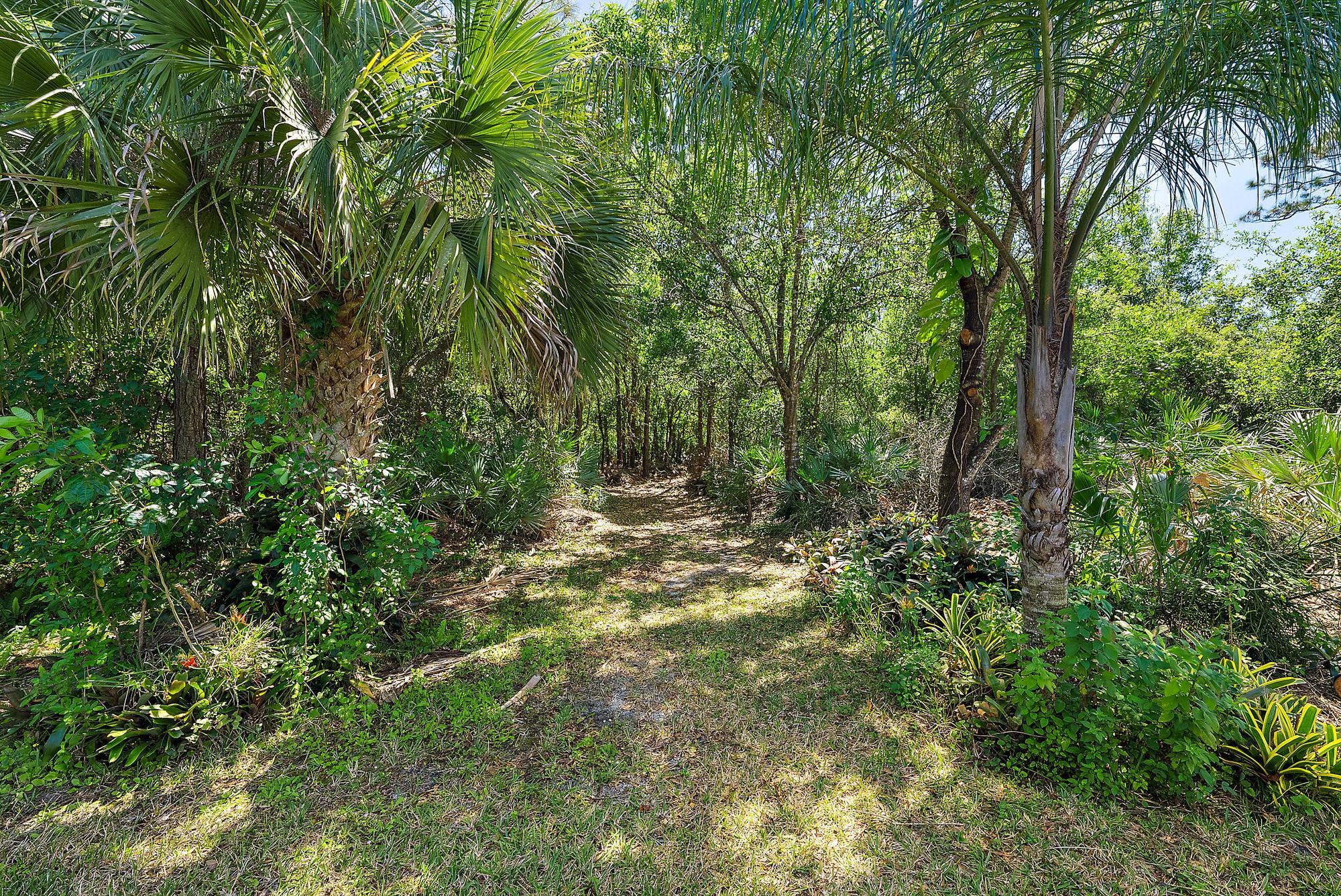 2664 Conifer Drive Fort Pierce, FL 34951 - Photo 30 of 30 a view of outdoor space and trees