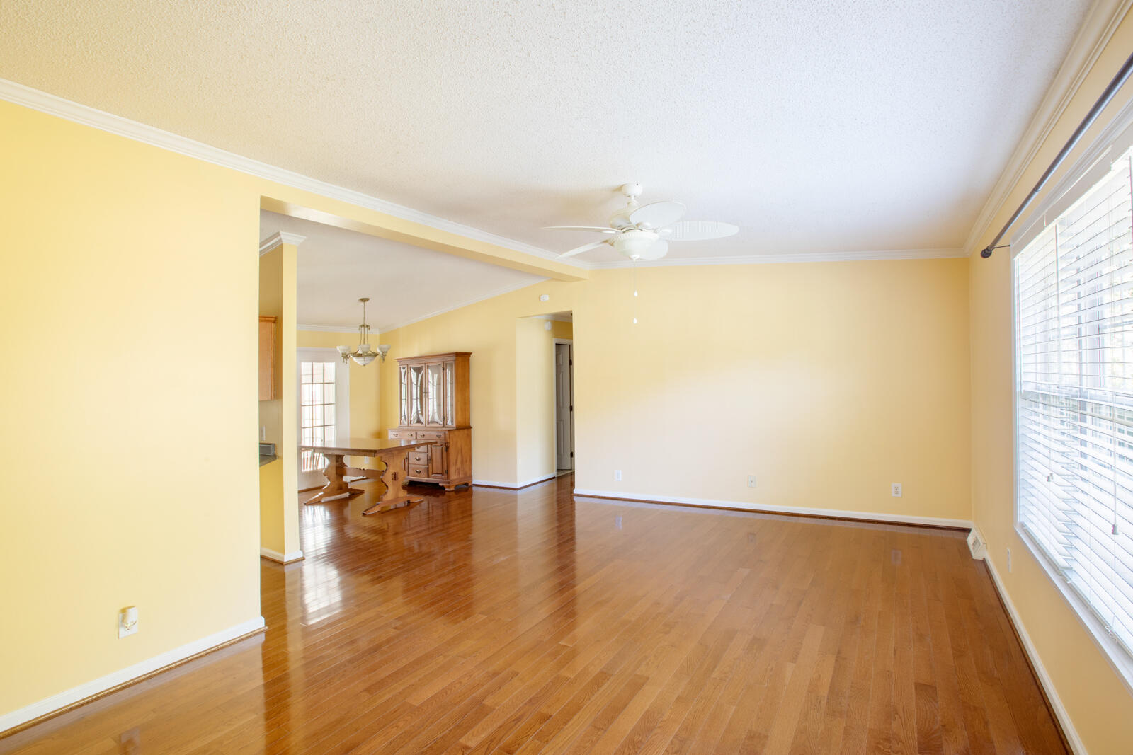 5673 Dixie Plantation Road Hollywood, SC 29449 - Photo 11 of 66 4U8A8427