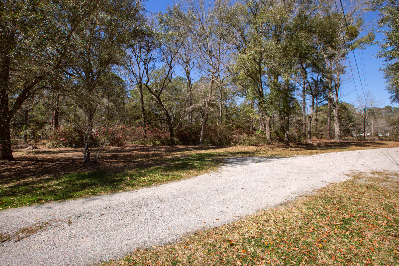 5673 Dixie Plantation Road Hollywood, SC 29449 - Photo 46 of 66 4U8A8519
